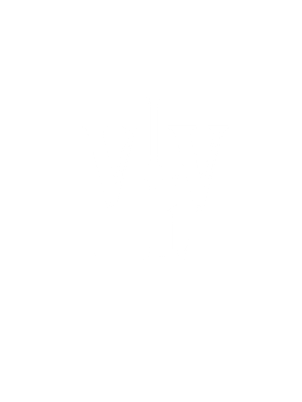VIVLI