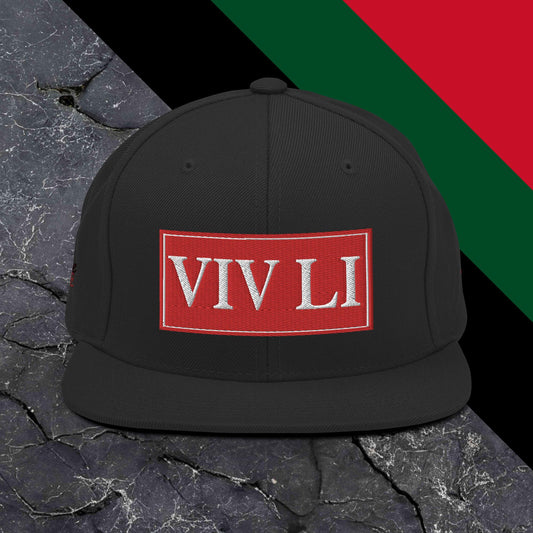 Casquette Snapback