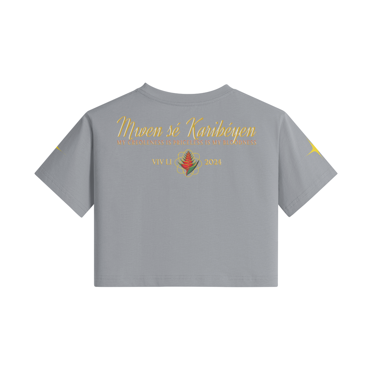 0-Y77-Back Side